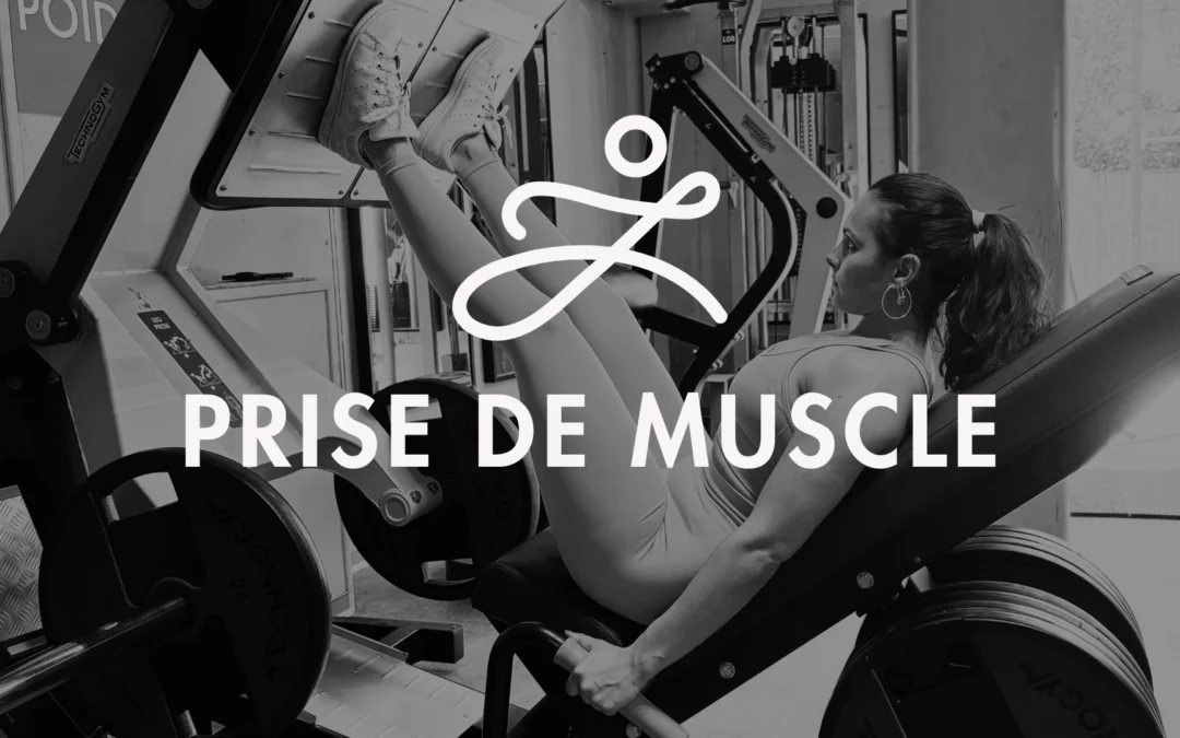 Programme – Prise de muscle